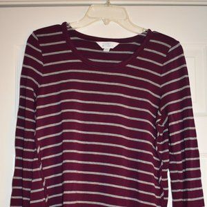 Zansia Curved Hem Knit Top